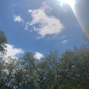 Meet your Posher, Sophia